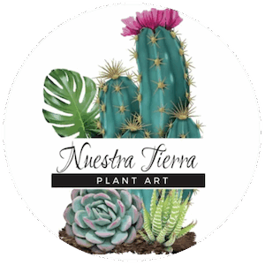 Nuestra Tierra, Cactus, Suculentas, Plantas, Regalos personalizados, Talleres, Quito Ecuador