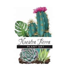 regalos premiun, suculentas, cactus, regalos quito, recuerdos personalizados