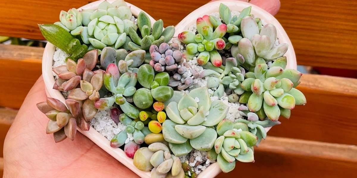Recuerdos con Esencia: Detalles Personalizados para Eventos